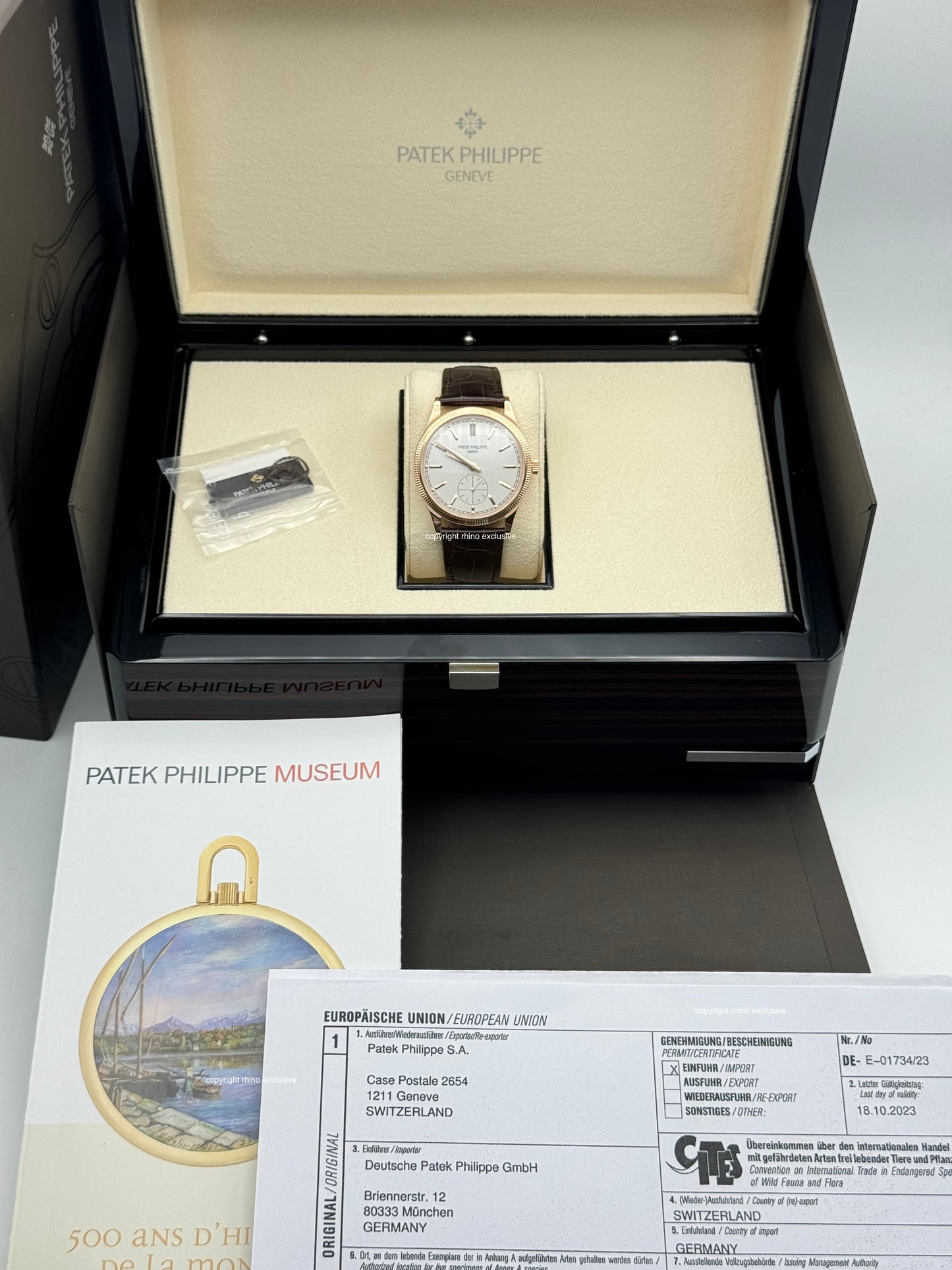 Patek Philippe Calatrava - 6119R-001