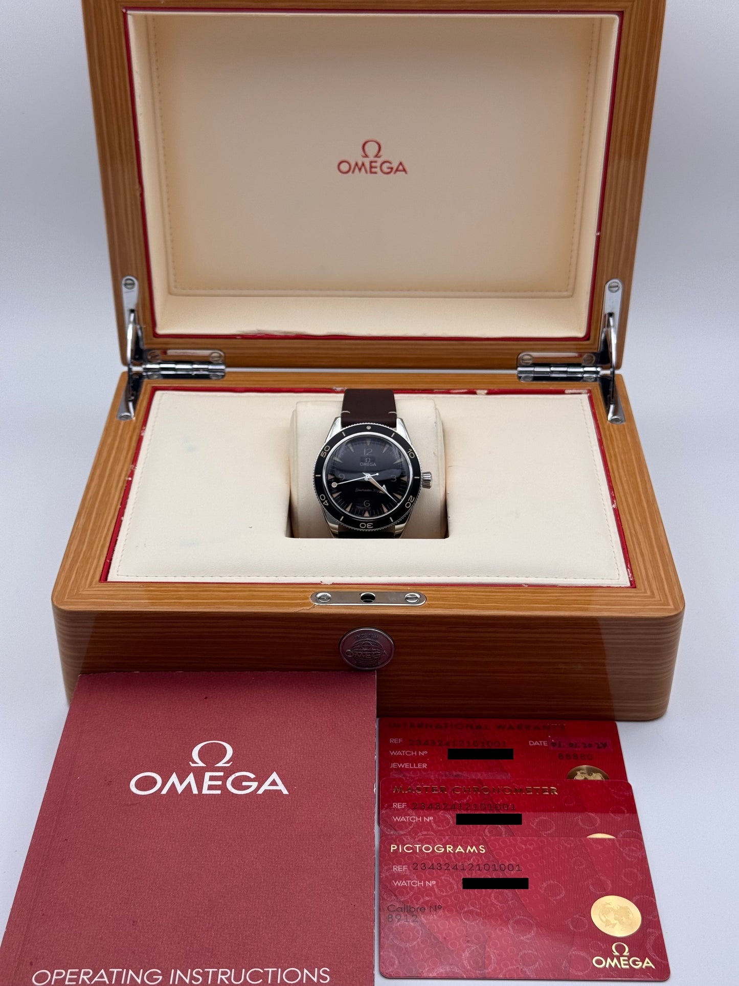 Omega Seamaster 300 Co-Axial Master Chronometer - 234.32.41.21.01.001